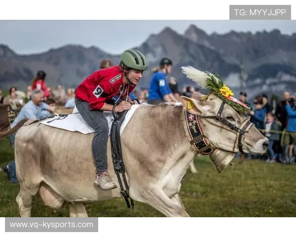 伊朗骑手阿里·巴赫蒂亚里在巴黎奥运会上与“Shahram”马匹共同参赛，尽管因马匹受伤被迫退出，但展现了坚强意志。